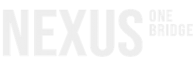 Nexus One Global