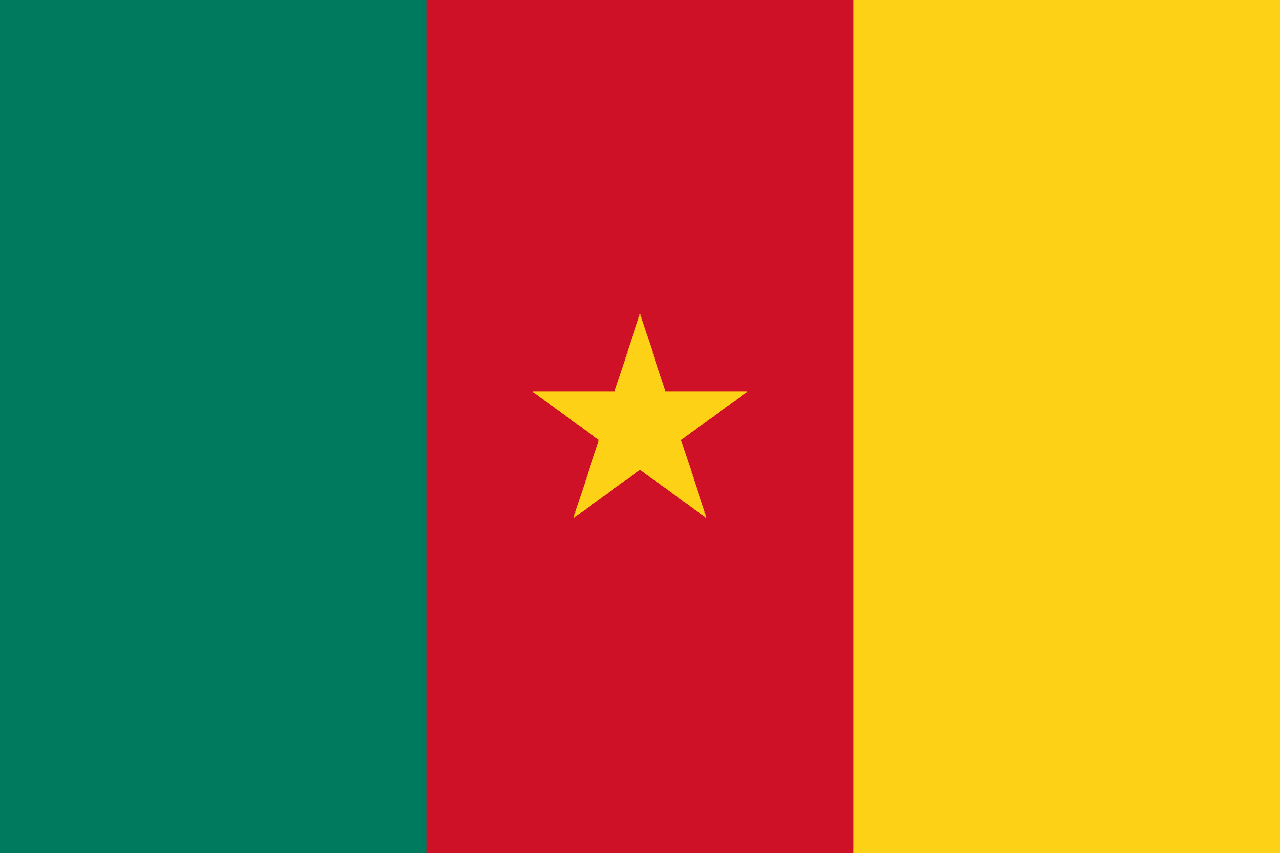 Flag of Cameroon
